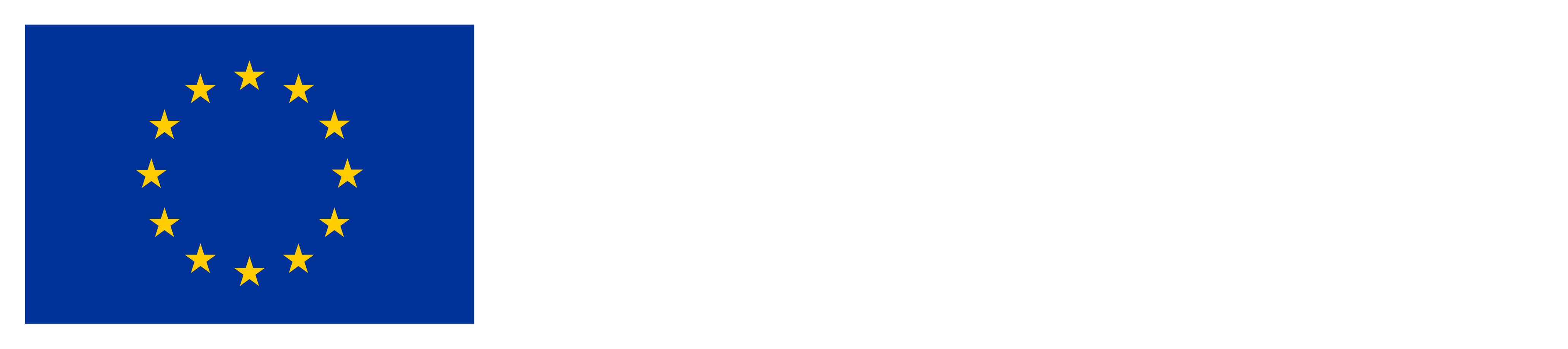 EU banner